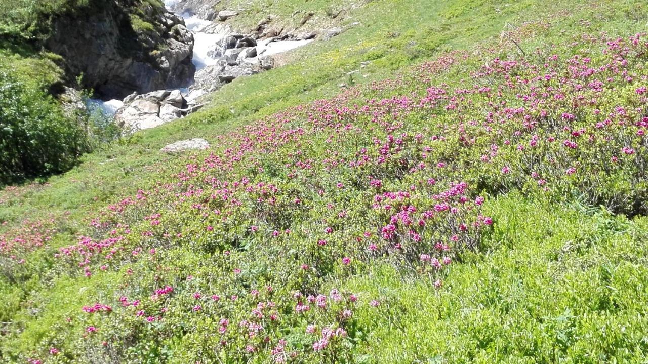 Appartement Ewald Siller Neustift im Stubaital Exteriér fotografie