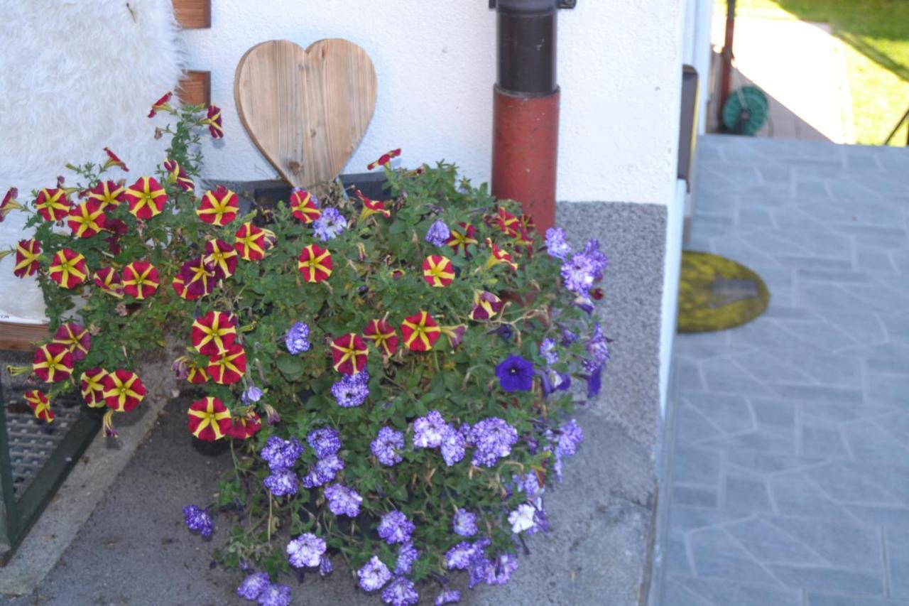 Appartement Ewald Siller Neustift im Stubaital Exteriér fotografie